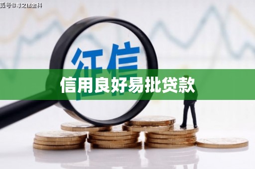 资中信用良好易批贷款