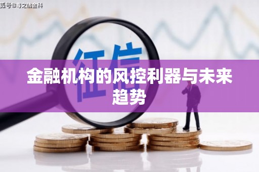 洪雅金融机构的风控利器与未来趋势