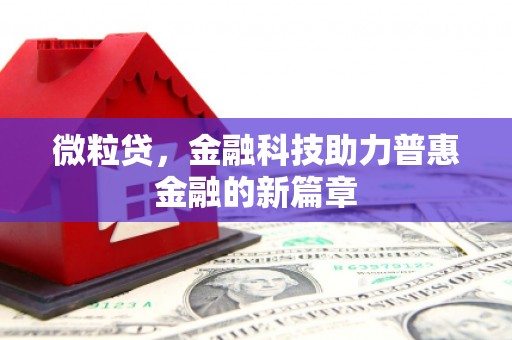 澧县微粒贷，金融科技助力普惠金融的新篇章