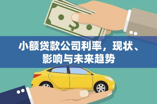 曲江小额贷款公司利率，现状、影响与未来趋势