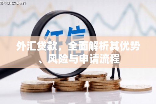 石门外汇贷款，全面解析其优势、风险与申请流程