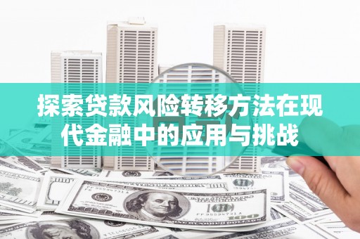 盐埕探索贷款风险转移方法在现代金融中的应用与挑战