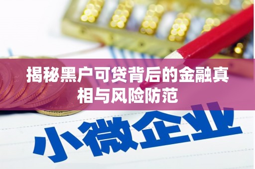 东宝揭秘黑户可贷背后的金融真相与风险防范