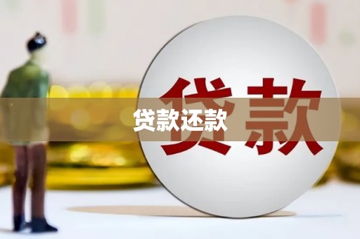 翠屏贷款还款