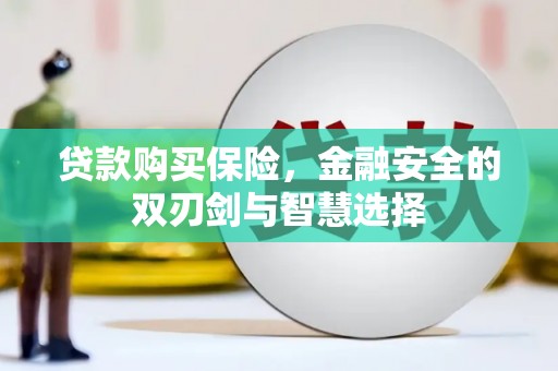 涵江贷款购买保险，金融安全的双刃剑与智慧选择