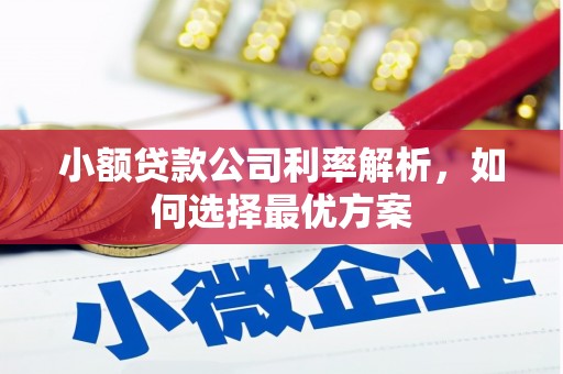 临漳小额贷款公司利率解析，如何选择最优方案