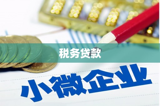九龙城税务贷款