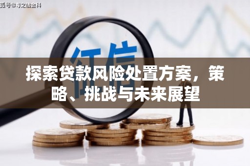 清河探索贷款风险处置方案，策略、挑战与未来展望