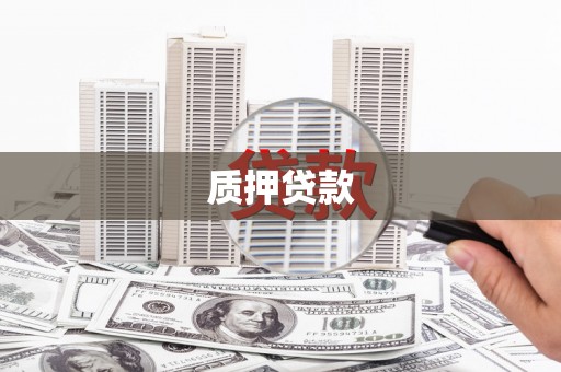 苑里质押贷款