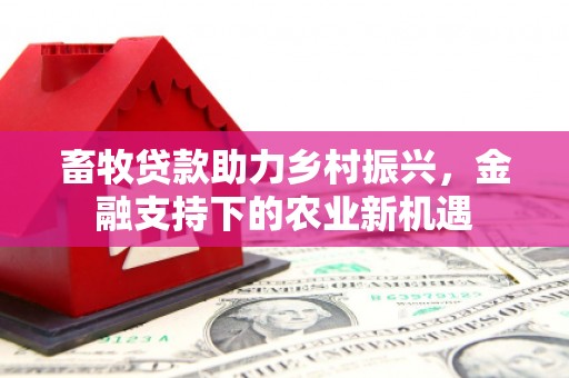 昭阳畜牧贷款助力乡村振兴，金融支持下的农业新机遇