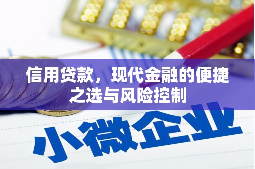 西夏信用贷款，现代金融的便捷之选与风险控制