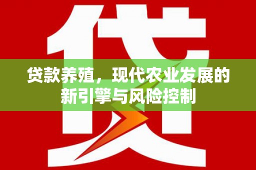 三元贷款养殖，现代农业发展的新引擎与风险控制