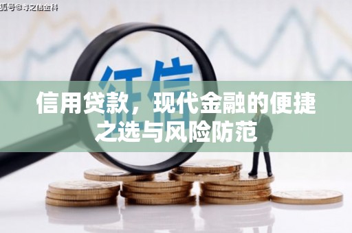 台南信用贷款，现代金融的便捷之选与风险防范