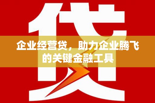 郁南企业经营贷，助力企业腾飞的关键金融工具