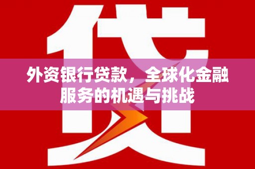 岷县外资银行贷款，全球化金融服务的机遇与挑战