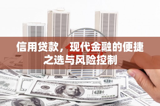 长岛信用贷款，现代金融的便捷之选与风险控制