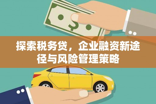 浑南探索税务贷，企业融资新途径与风险管理策略