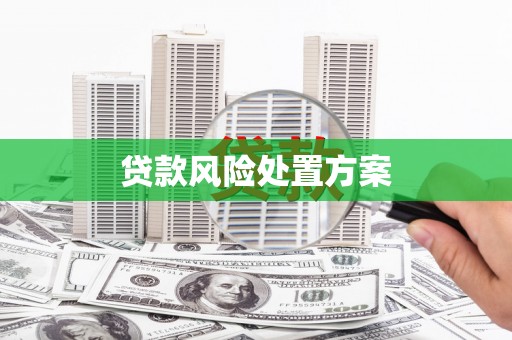 坊子贷款风险处置方案