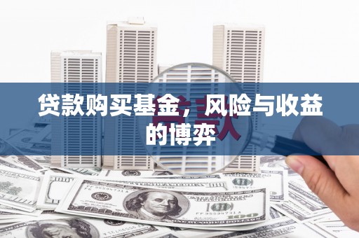 海盐贷款购买基金，风险与收益的博弈