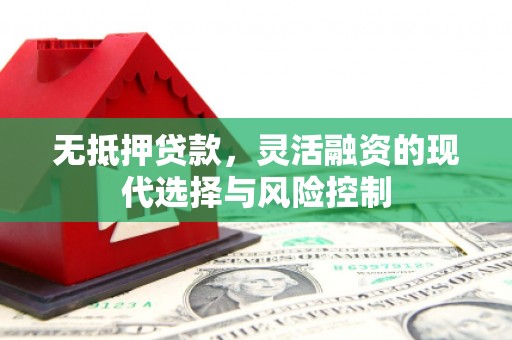 南郊无抵押贷款，灵活融资的现代选择与风险控制