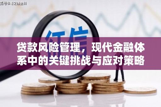 阳东贷款风险管理，现代金融体系中的关键挑战与应对策略