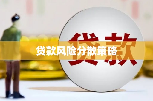 息县贷款风险分散策略