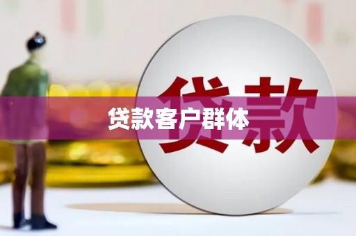 新晃贷款客户群体