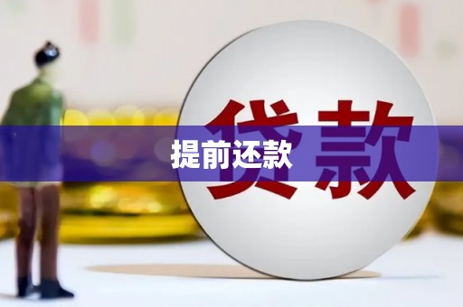 南安提前还款