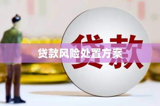 柳州贷款风险处置方案