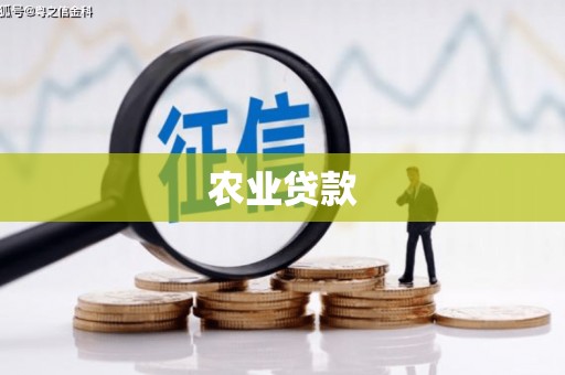 宁江农业贷款