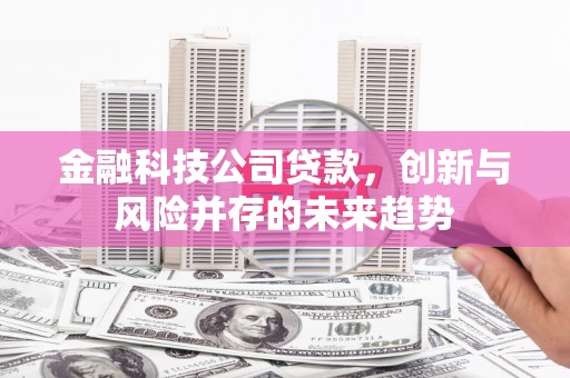 布袋金融科技公司贷款，创新与风险并存的未来趋势