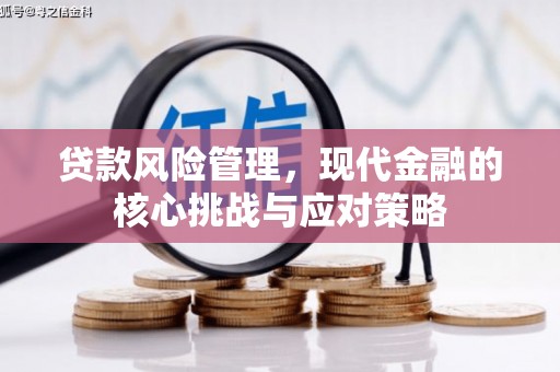 柳河贷款风险管理，现代金融的核心挑战与应对策略