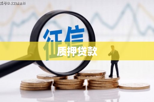 庐江质押贷款