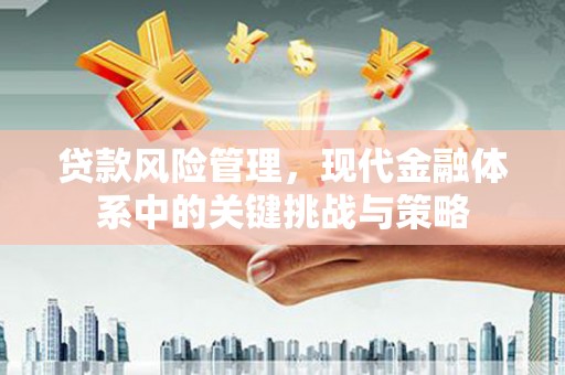 太保贷款风险管理，现代金融体系中的关键挑战与策略
