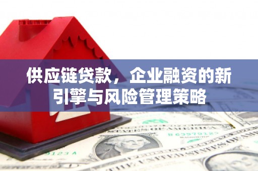 洋山供应链贷款，企业融资的新引擎与风险管理策略