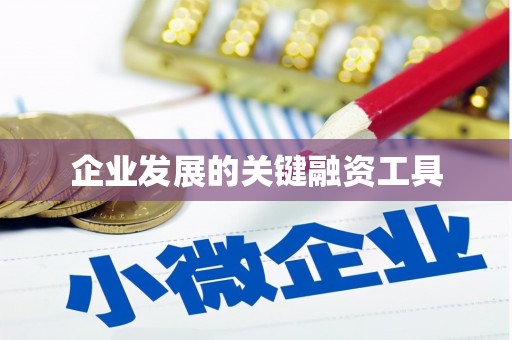 长寿企业发展的关键融资工具