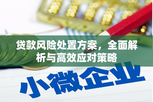 成武贷款风险处置方案，全面解析与高效应对策略