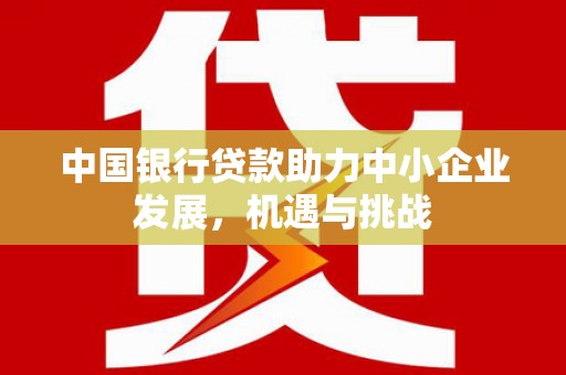 阜康中国银行贷款助力中小企业发展，机遇与挑战
