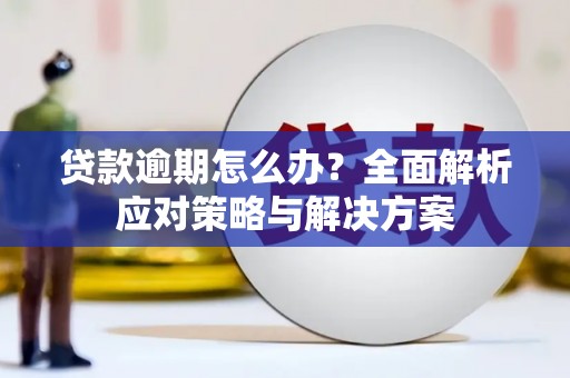 临渭贷款逾期怎么办？全面解析应对策略与解决方案