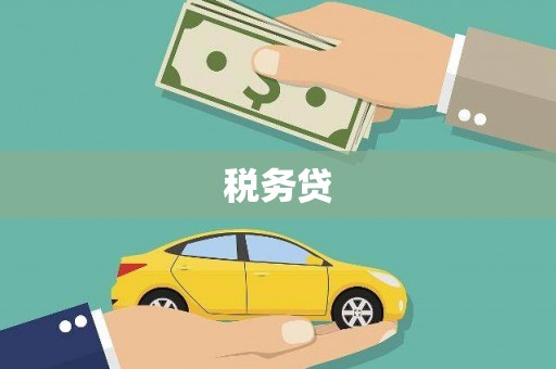 东乡族税务贷