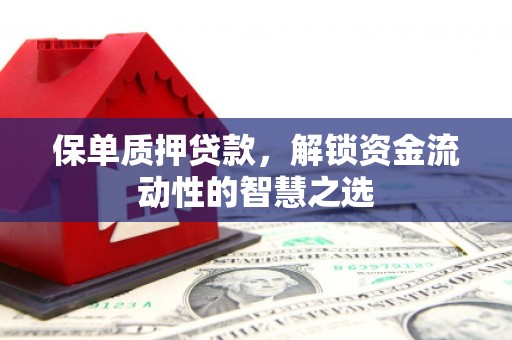 隆子保单质押贷款，解锁资金流动性的智慧之选