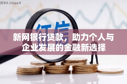 边坝新网银行贷款，助力个人与企业发展的金融新选择