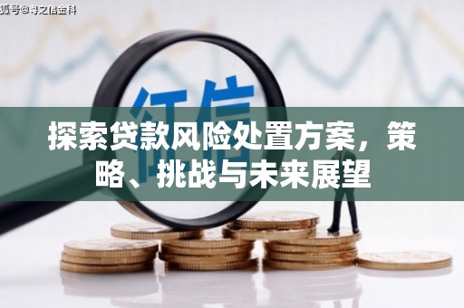 头份探索贷款风险处置方案，策略、挑战与未来展望