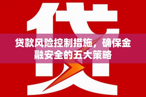 云林贷款风险控制措施，确保金融安全的五大策略