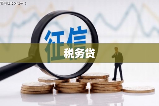 西和税务贷