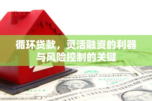 太康循环贷款，灵活融资的利器与风险控制的关键