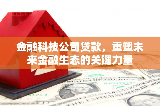 七星金融科技公司贷款，重塑未来金融生态的关键力量