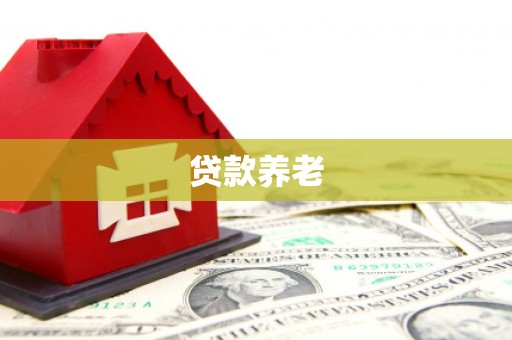 武汉贷款养老