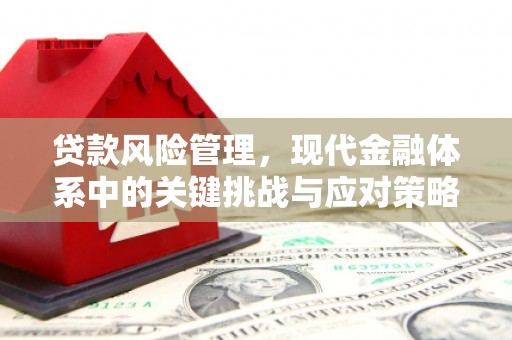 振兴贷款风险管理，现代金融体系中的关键挑战与应对策略