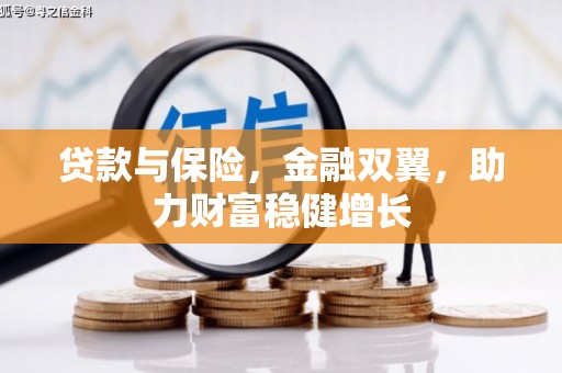 兴国贷款与保险，金融双翼，助力财富稳健增长